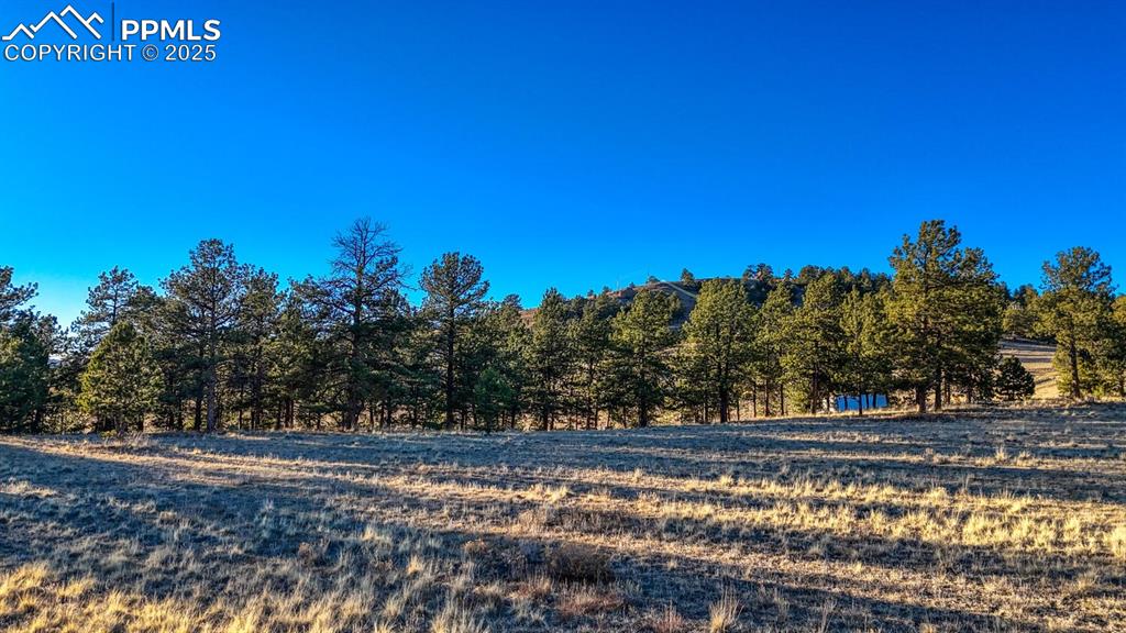 Image 14 of 29: Yard