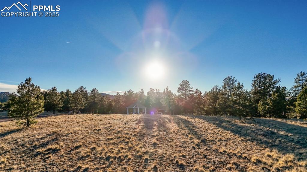 Image 15 of 29: Yard