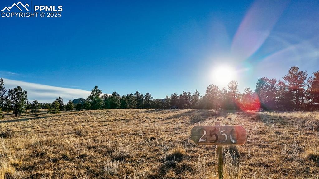 Image 28 of 29: Yard