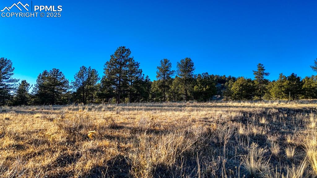 Image 3 of 29: Easy to build