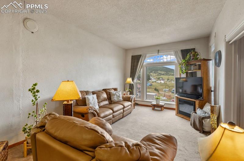 Image 9 of 27: Living Room