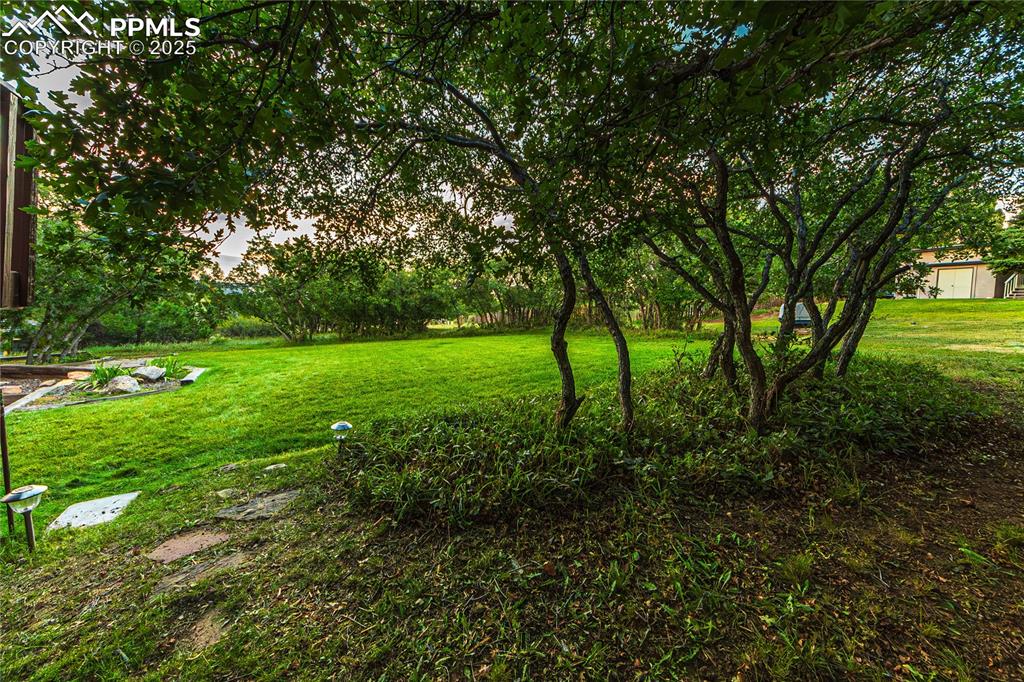 Image 36 of 39: View of green lawn
