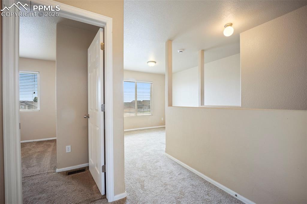 Image 17 of 40: Other