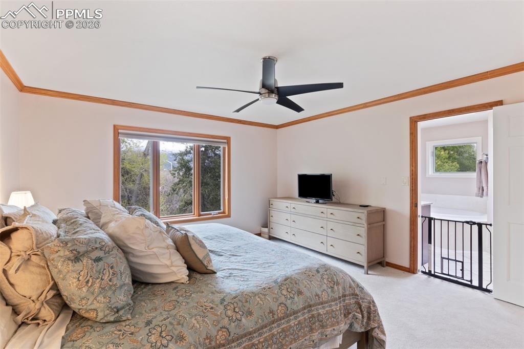Image 27 of 47: Spacious primary bedroom with light colored carpet and natural wood crown m