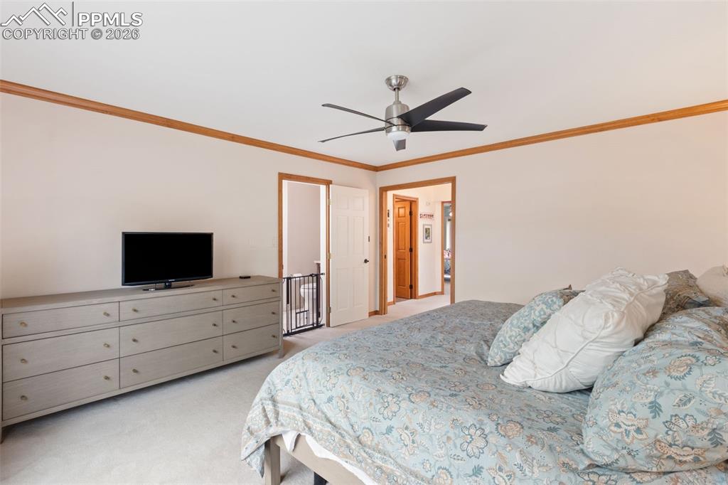 Image 28 of 47: Spacious primary bedroom with light colored carpet and natural wood crown m