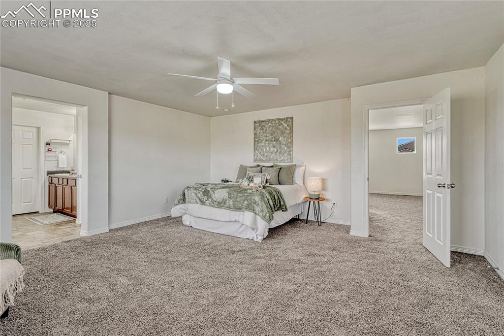 Image 29 of 50: Primary bedroom with adjoining 5-piece bath