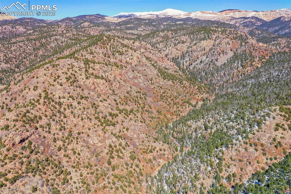 Image 8 of 11: Aerial View