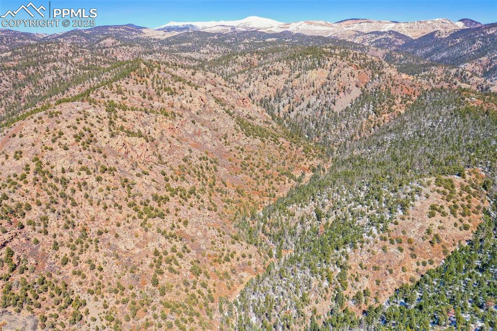 Image 9 of 11: Aerial View