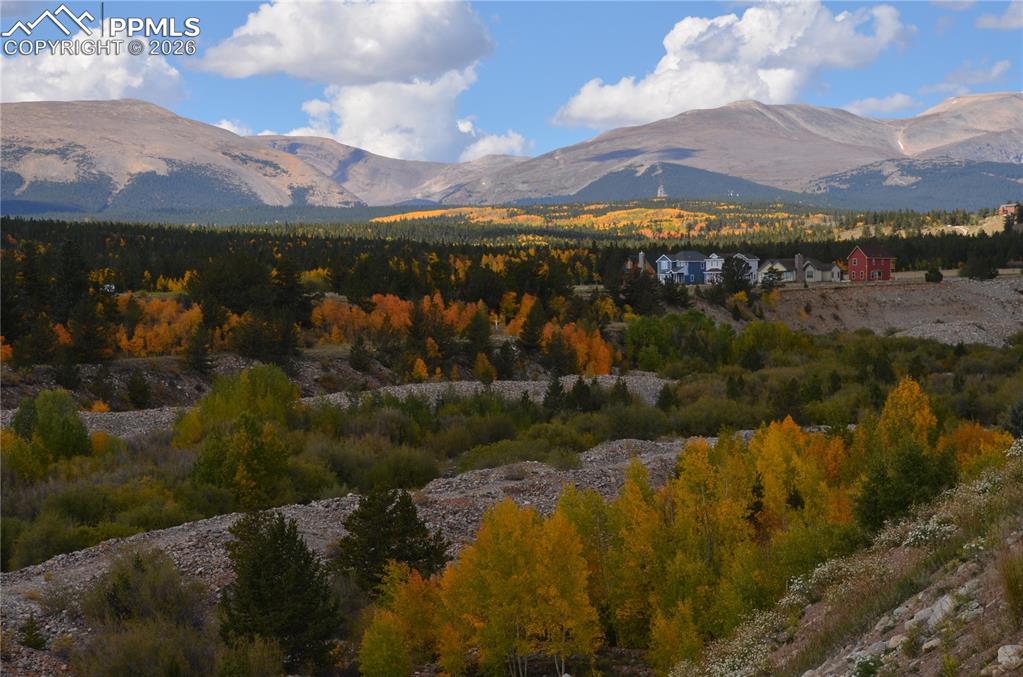 Image 19 of 19: View of mountain background