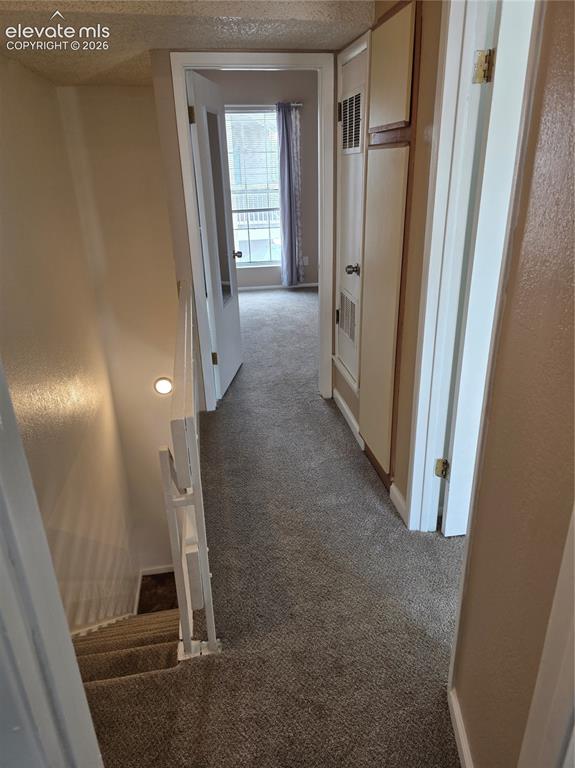 Image 19 of 19: Other