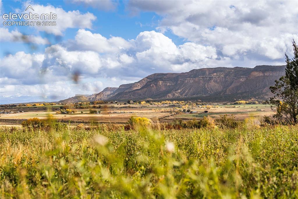 Image 12 of 30: View