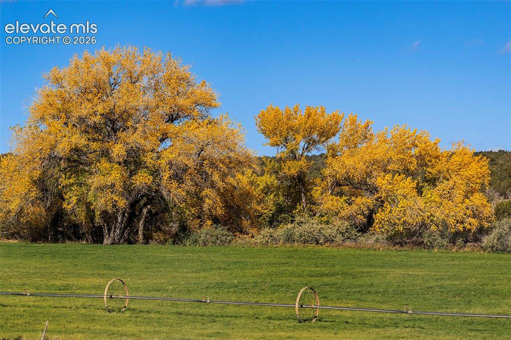 Image 6 of 30: Hay Fields