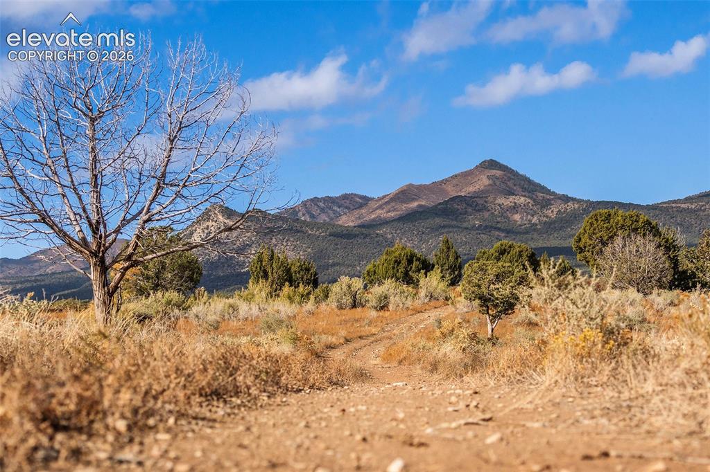 Image 8 of 30: View
