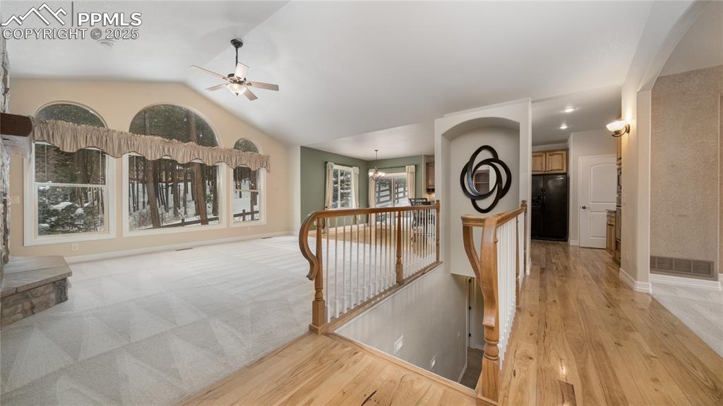 Image 6 of 45: Other