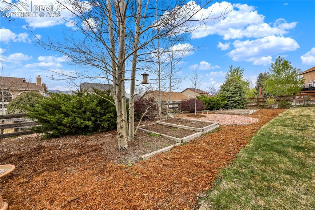 Image 32 of 48: Yard