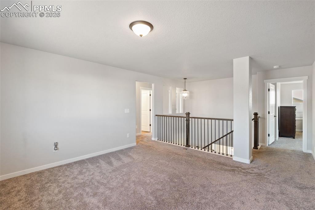 Image 17 of 50: Other