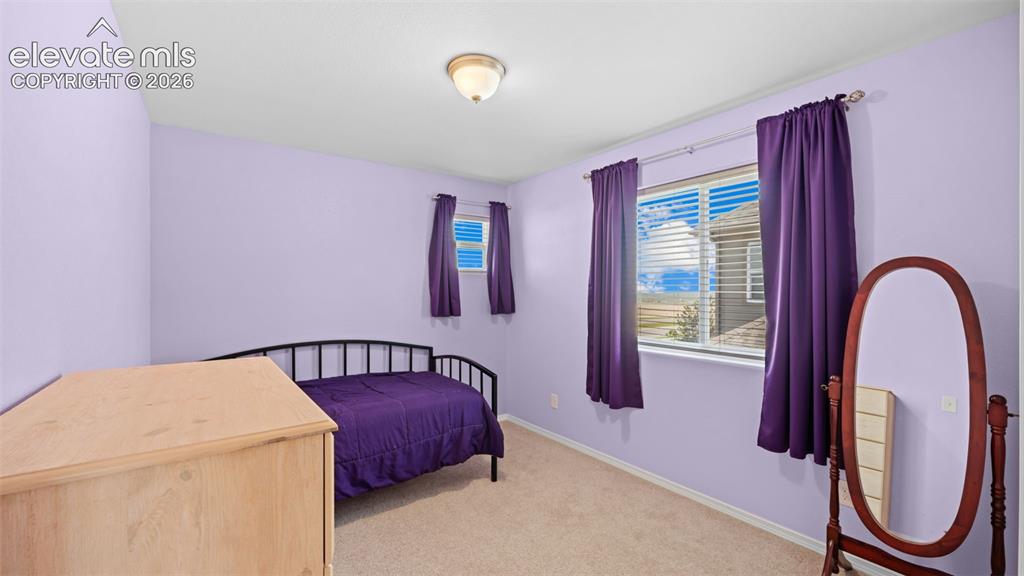 Image 21 of 45: Carpeted room featuring a ceiling-mounted light fixture, two windows, and a