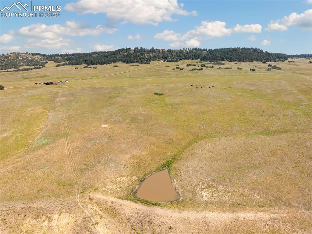 Image 7 of 13: Southwest Corner of the Property in Foreground