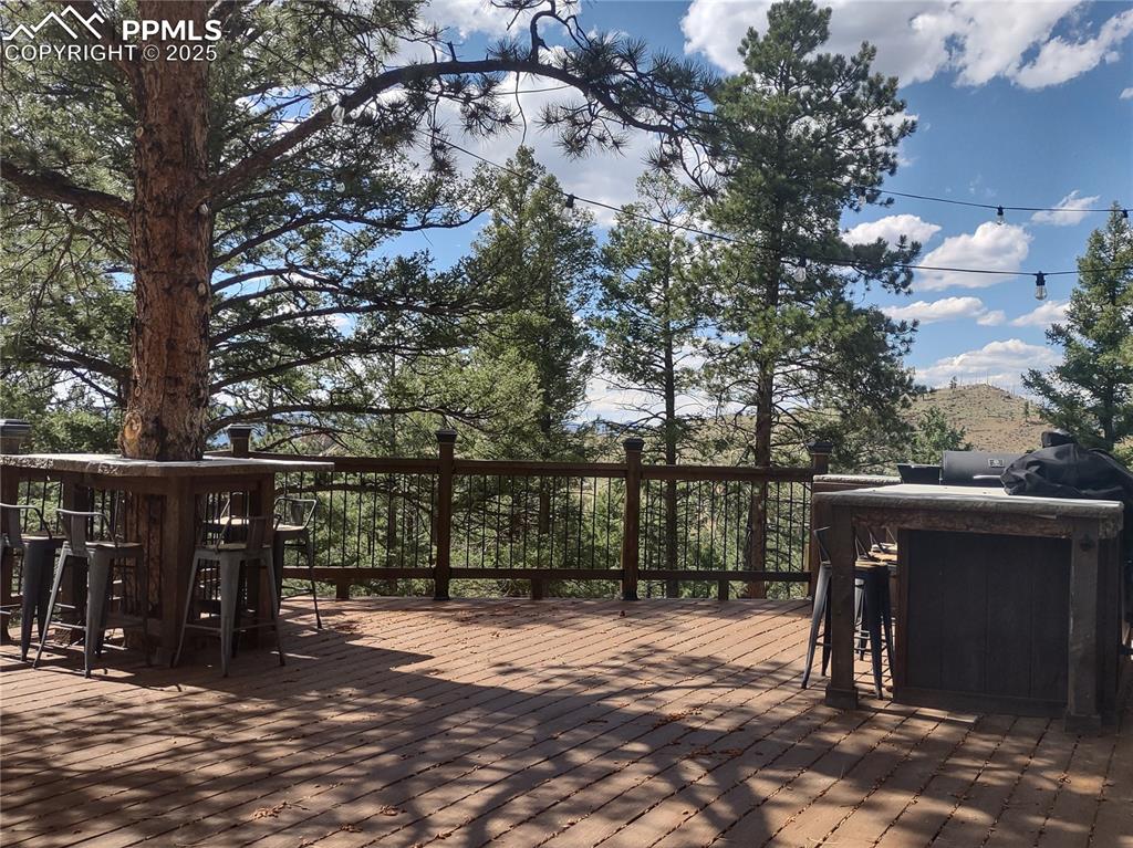 Image 15 of 50: Tree table & grill counter