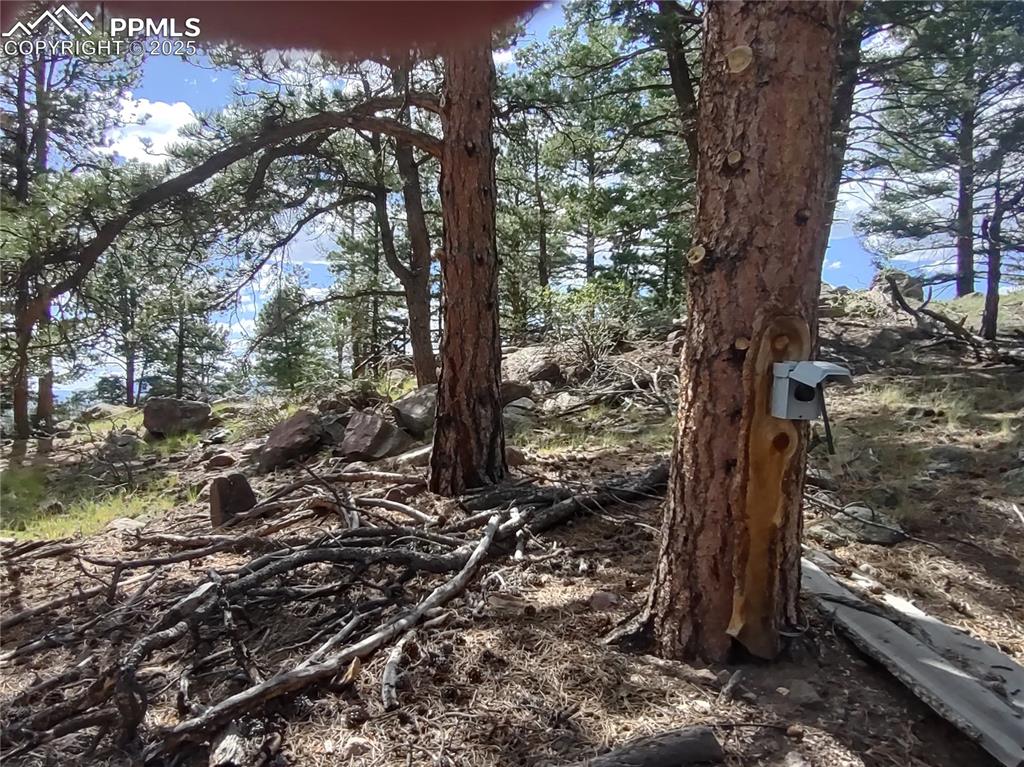 Image 35 of 50: Temp power