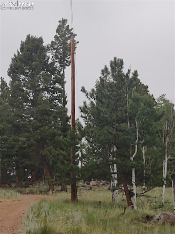 Image 49 of 50: Power poles along south property line