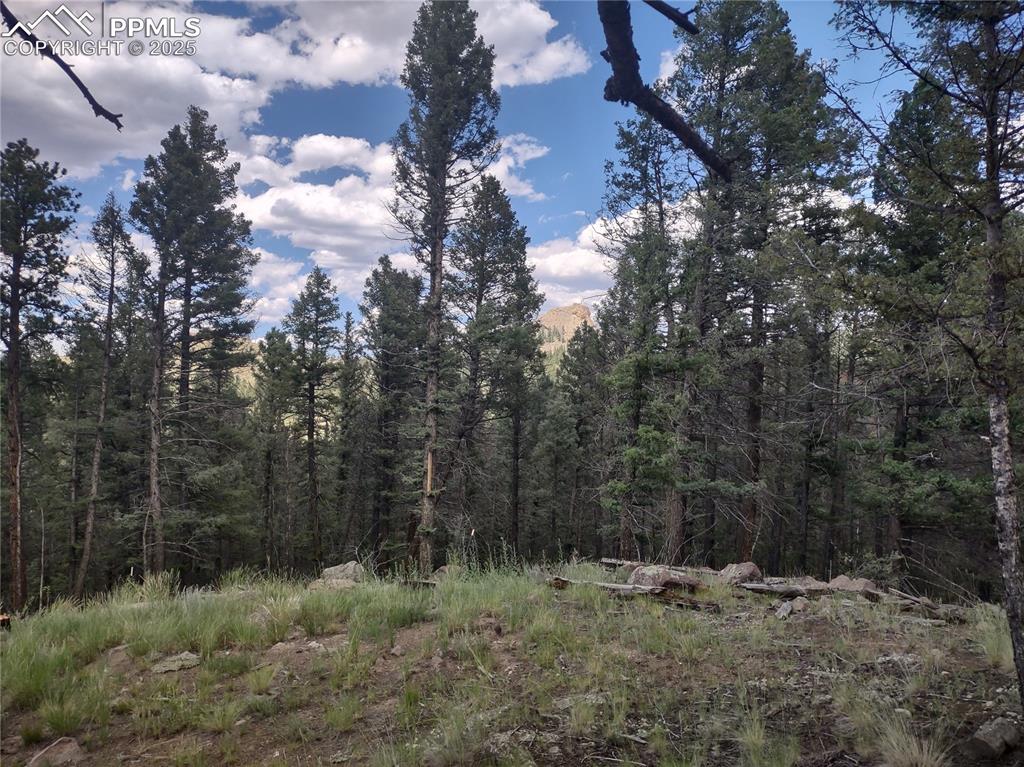 Image 9 of 50: Crystal Peak view fm deck