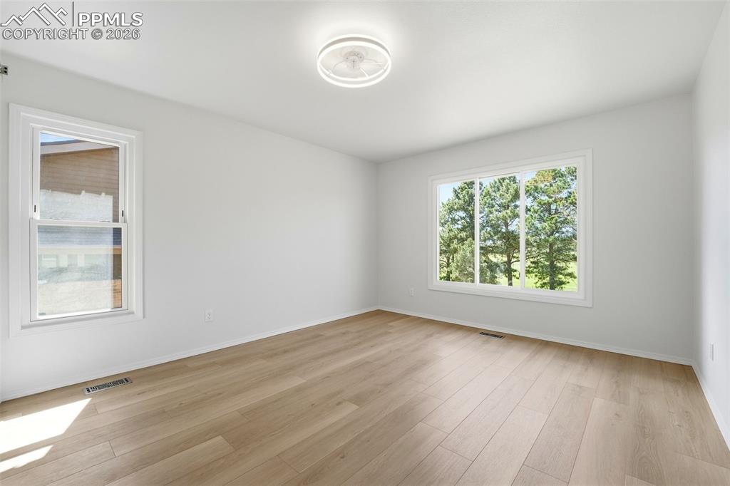 Image 23 of 50: Other