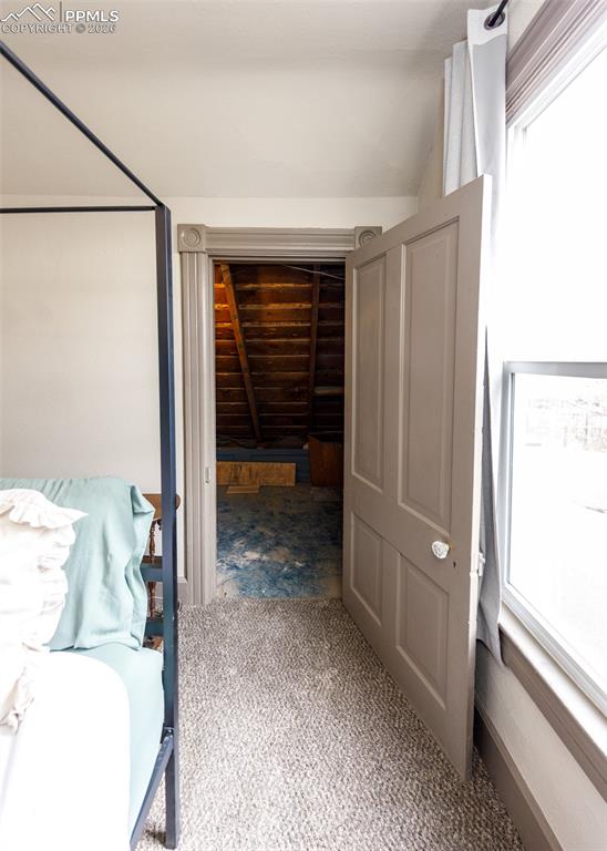 Image 33 of 50: Other