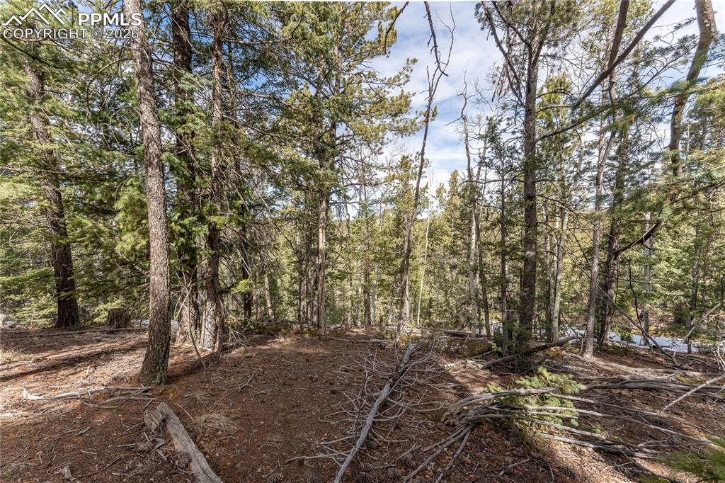 Image 13 of 14: View of nature