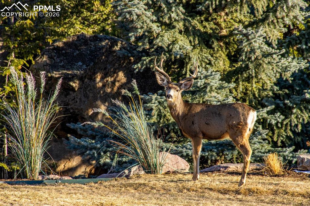 Image 7 of 50: Garage