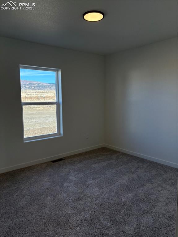 Image 15 of 22: Unfurnished room featuring dark colored carpet and a textured ceiling