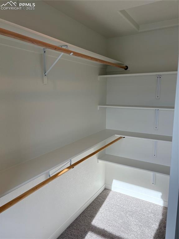 Image 22 of 22: Spacious closet with light carpet