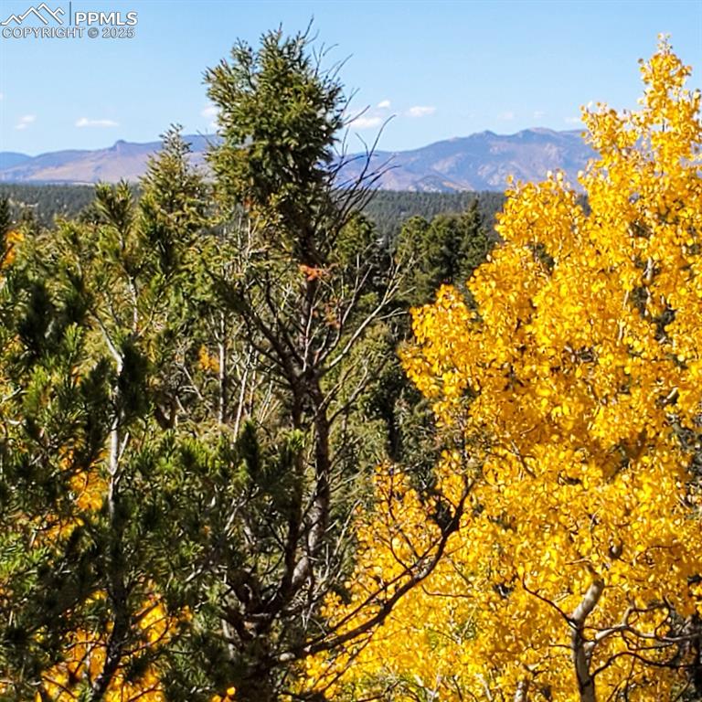 Image 34 of 43: View