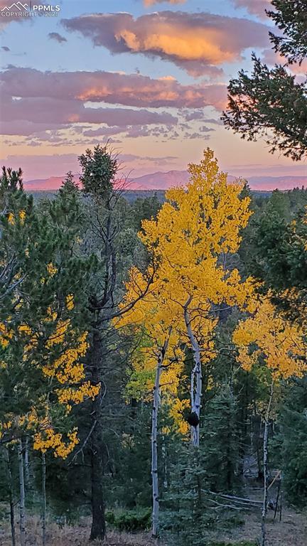 Image 35 of 43: Other