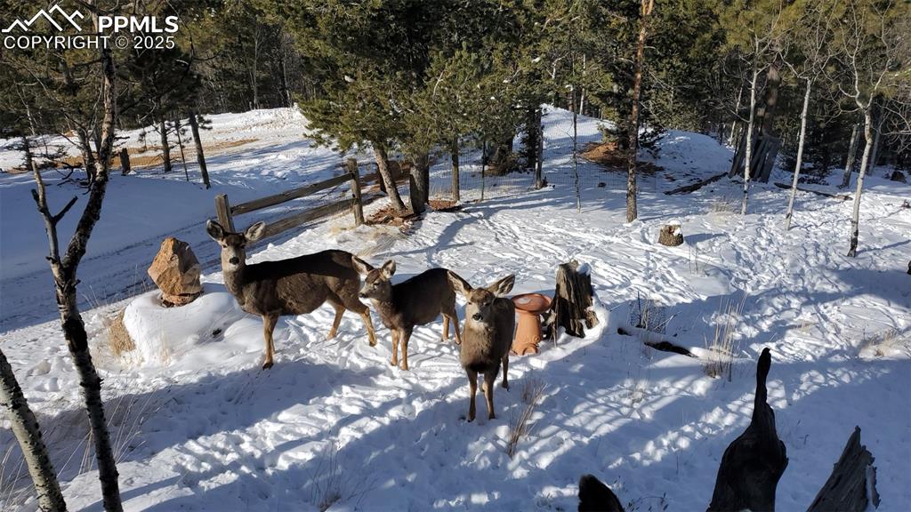 Image 36 of 43: Community