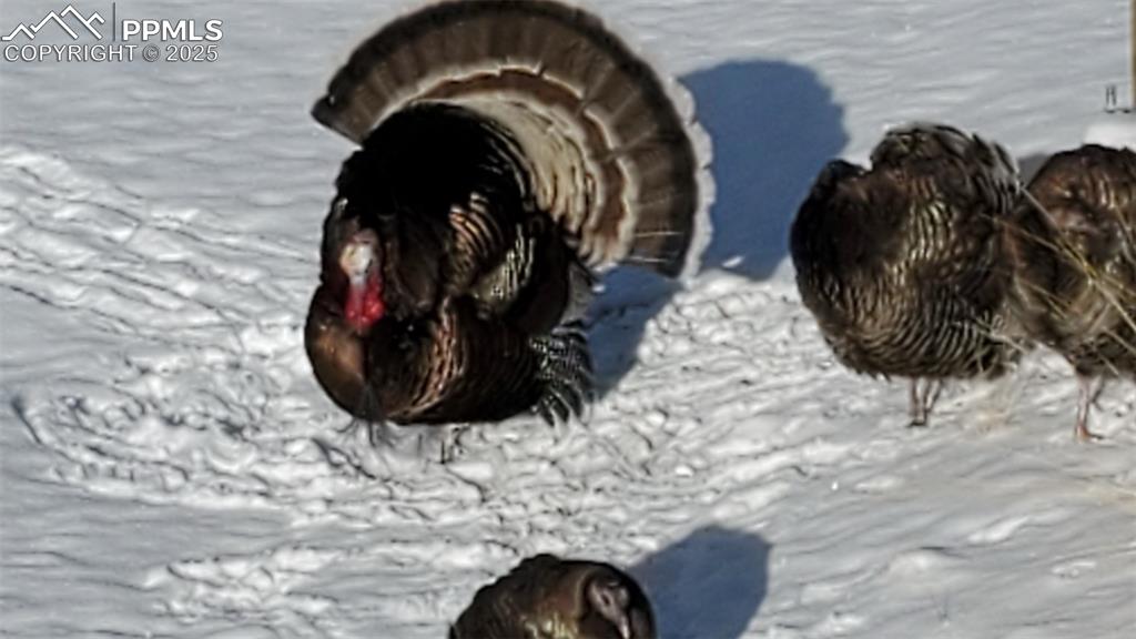 Image 37 of 43: Other