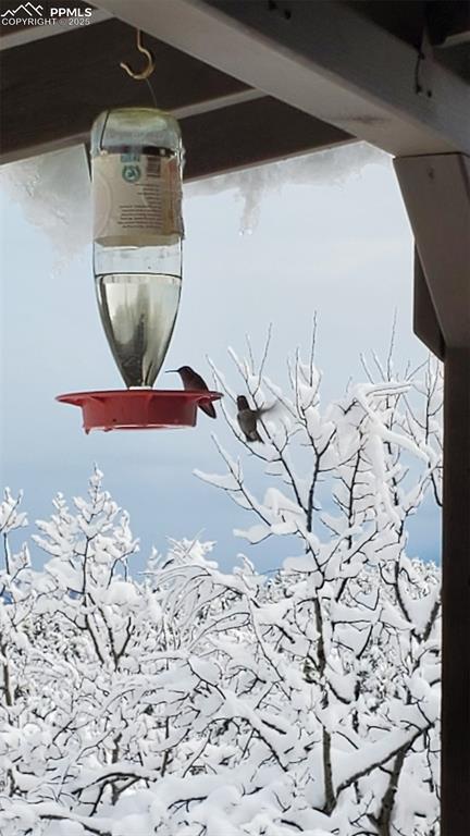 Image 38 of 43: Other