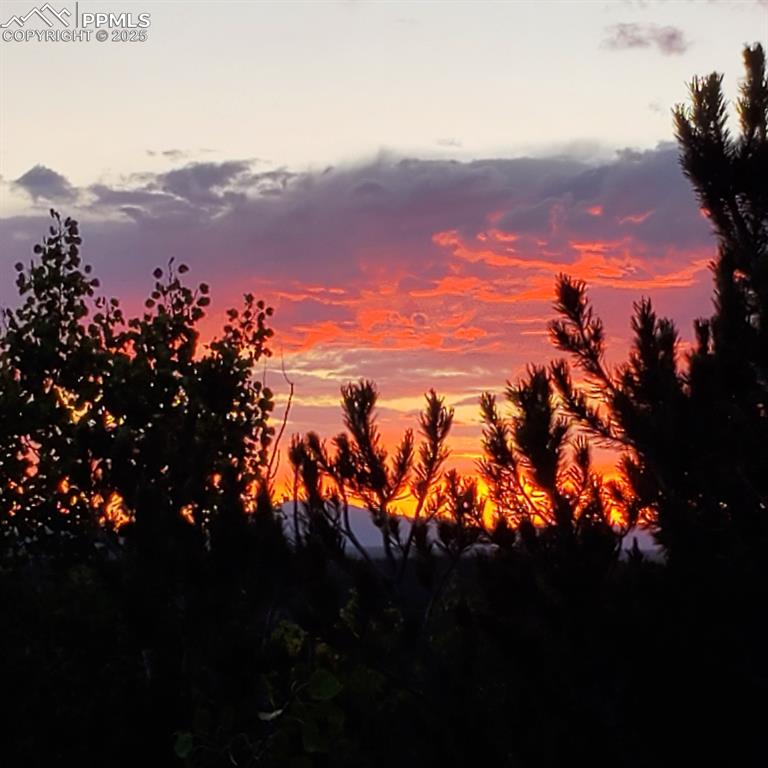 Image 40 of 43: Other