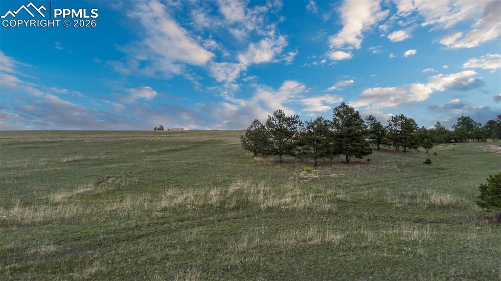 Image 10 of 13: No Description Available