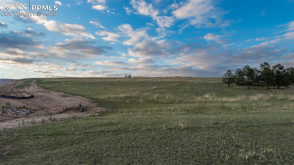 Image 11 of 13: No Description Available