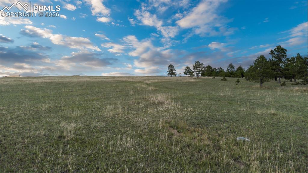 Image 12 of 13: No Description Available