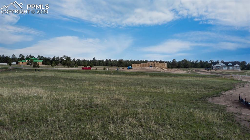 Image 13 of 13: No Description Available