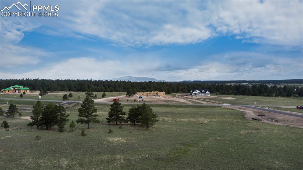 Image 7 of 13: No Description Available