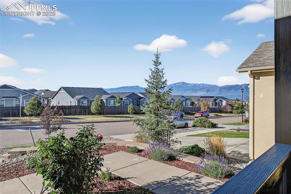 Image 39 of 46: Yard