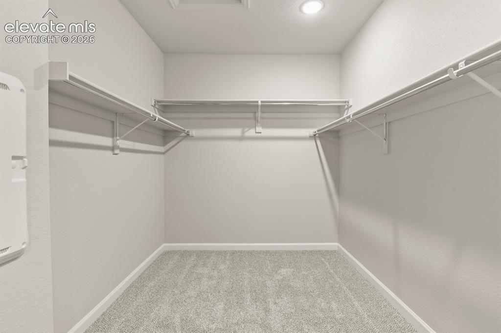 Image 20 of 29: Walk-in closet featuring carpeted flooring, white baseboards, and built-in 