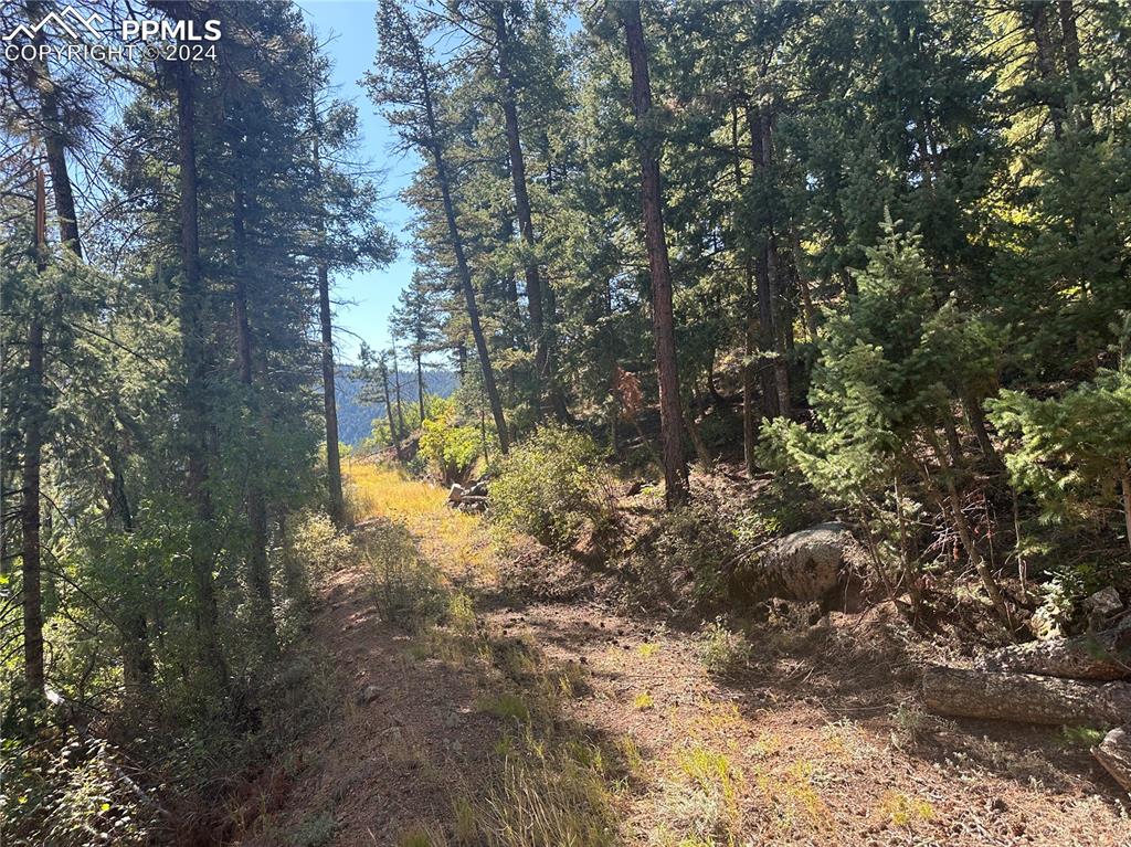 Image 10 of 19: Future driveway