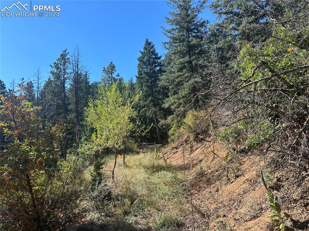 Image 11 of 19: Entrance to lot