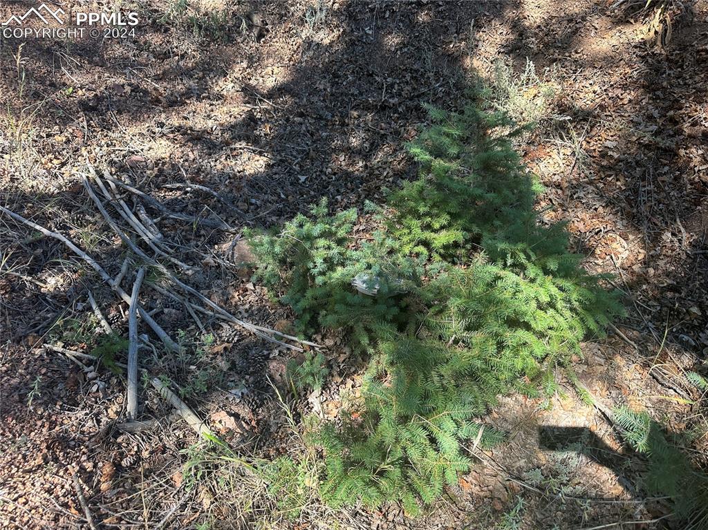 Image 7 of 19: Well cap