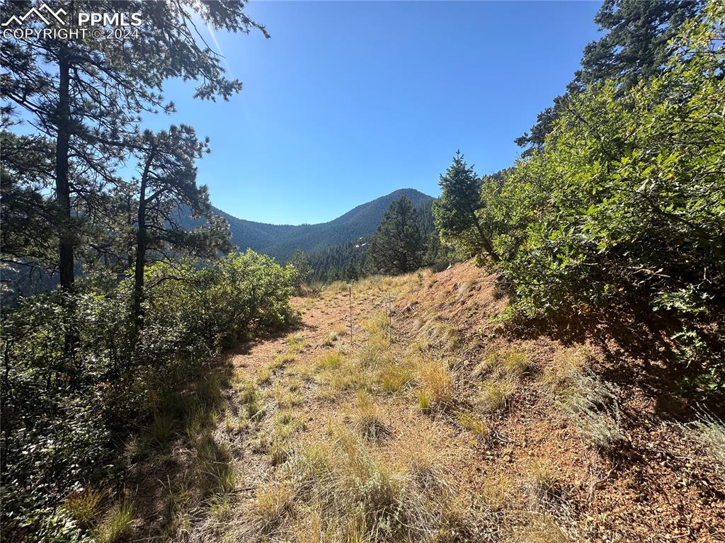 Image 8 of 19: Future driveway