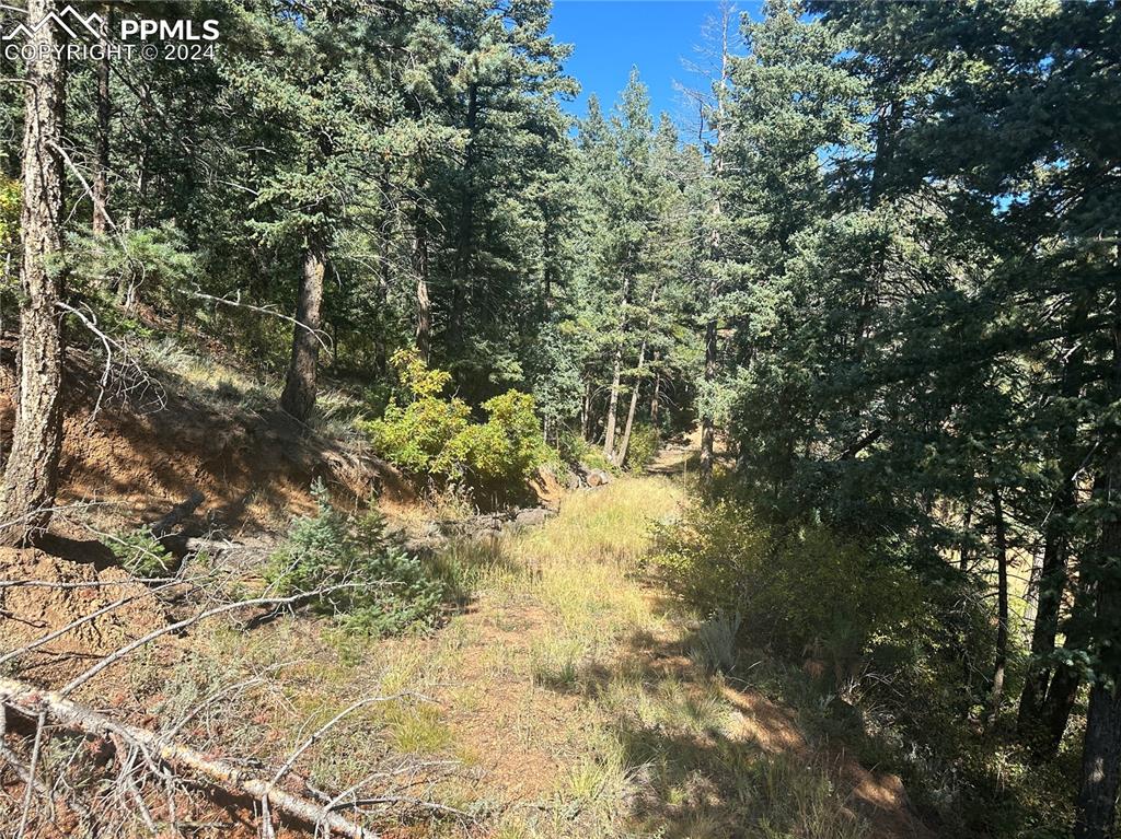 Image 9 of 19: Future driveway and location of the well